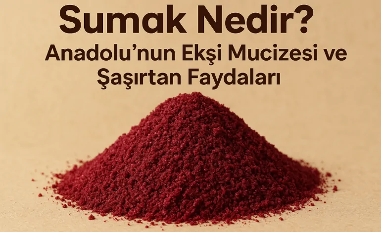 “Sumak Nedir? Anadolu’nun Ekşi Mucizesi ve Şaşırtan Faydaları”