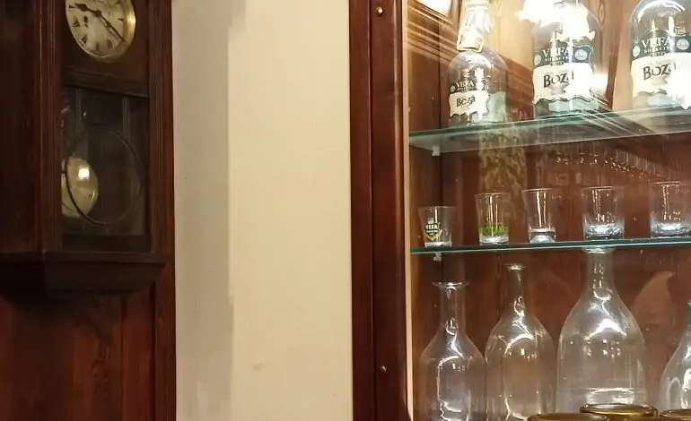 Osmanlı’dan Günümüze: Tarihi Vefa Bozacısı ve Bozanın Sağlığa Katkıları