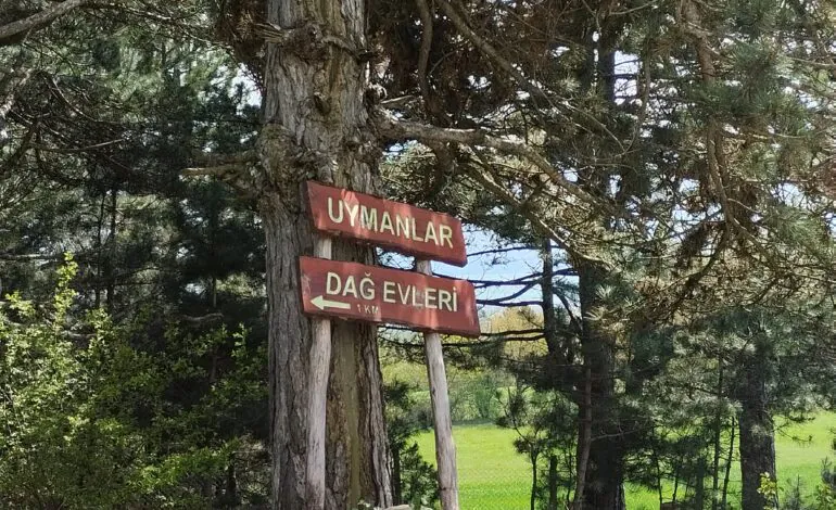 Uymanlar Dağ Evi – Bolu’nun Eşsiz Doğasında Sıcak Bir Mola