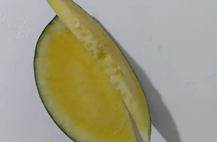 “Sarı Karpuz Nedir ve Faydaları Nelerdir?”