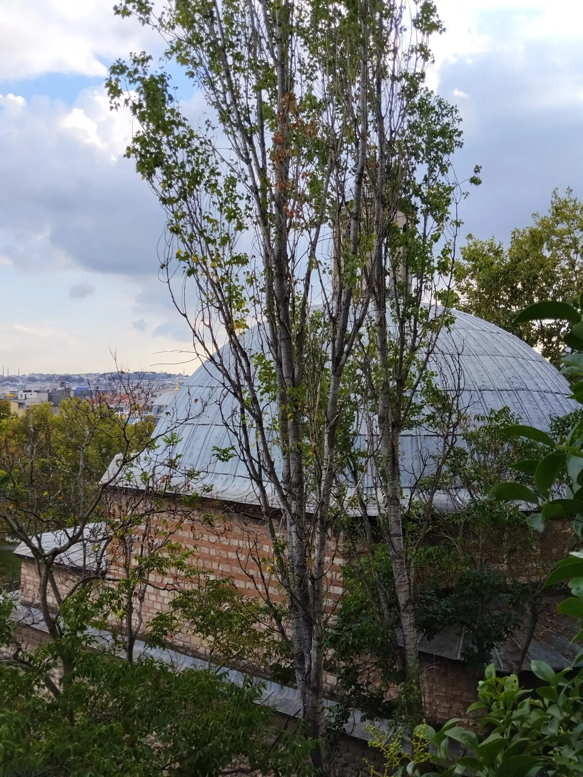 Tophane-i Âmire’de Sessiz Zarafet Sergisi: